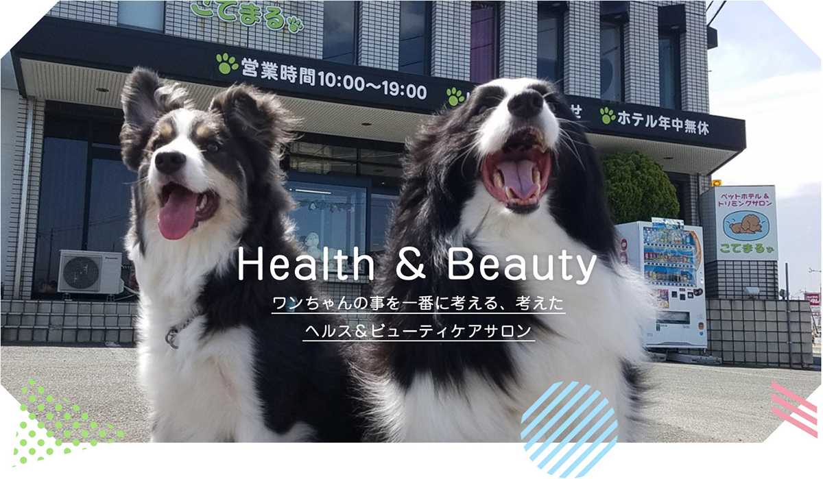 Health & Beautyワンちゃんの事を一番に考える、考えたヘルス＆ビューティケアサロン